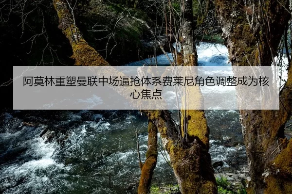 阿莫林重塑曼联中场逼抢体系费莱尼角色调整成为核心焦点