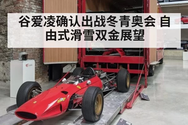 谷爱凌确认出战冬青奥会 自由式滑雪双金展望