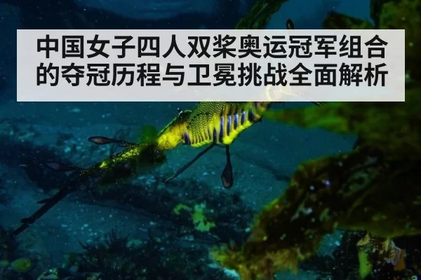 中国女子四人双桨奥运冠军组合的夺冠历程与卫冕挑战全面解析